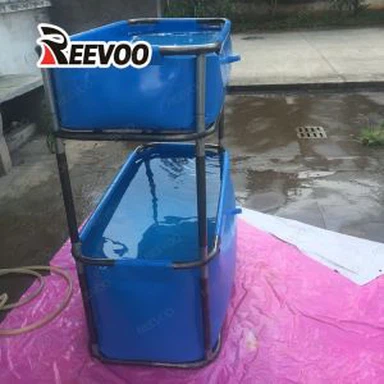 মাছের পুল